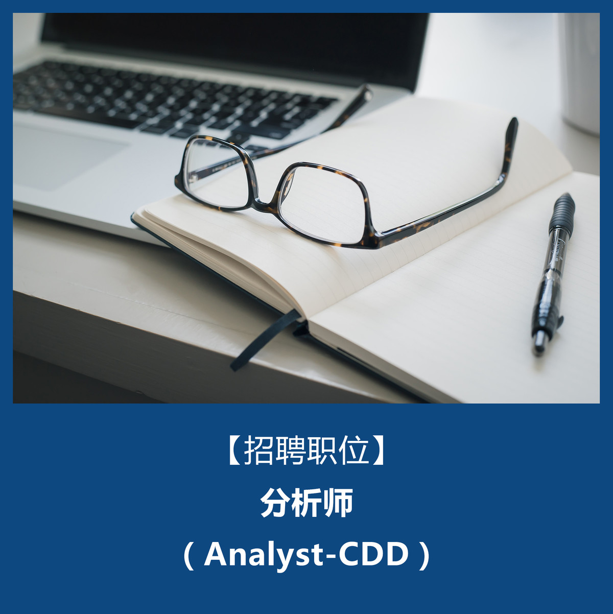 社会招聘-分析师（Analyst-CDD）